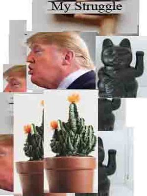 cover image of THE BOOK ON TRUMP